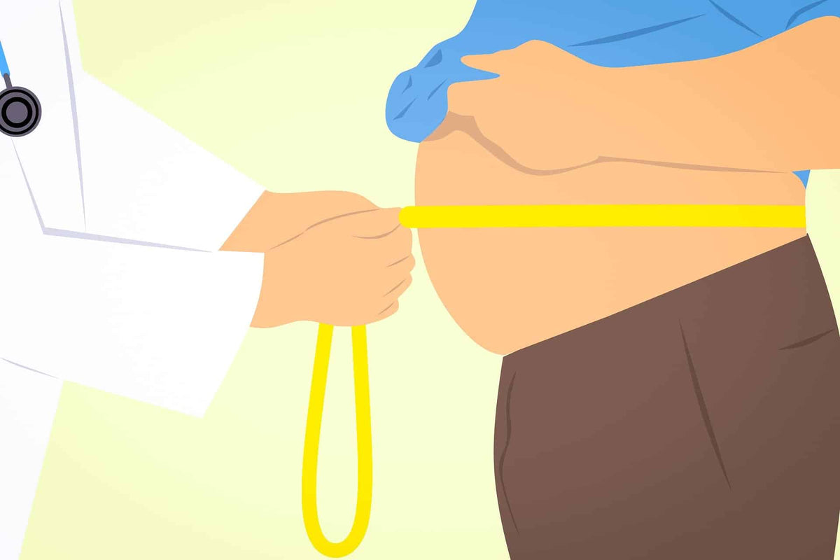 obese 3011213 1920