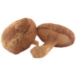 shiitake transparent 300x300 1 150x150