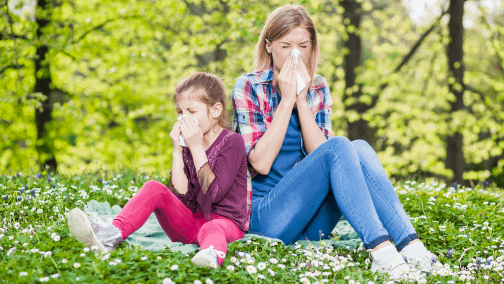 1030 allergies explainer 1028x579