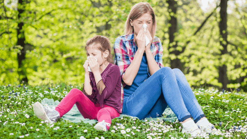 1030 allergies explainer 1028x579