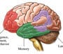 about dementia