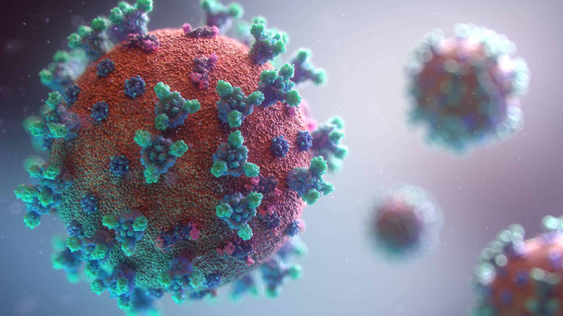 coronavirus banner 1536x864 1