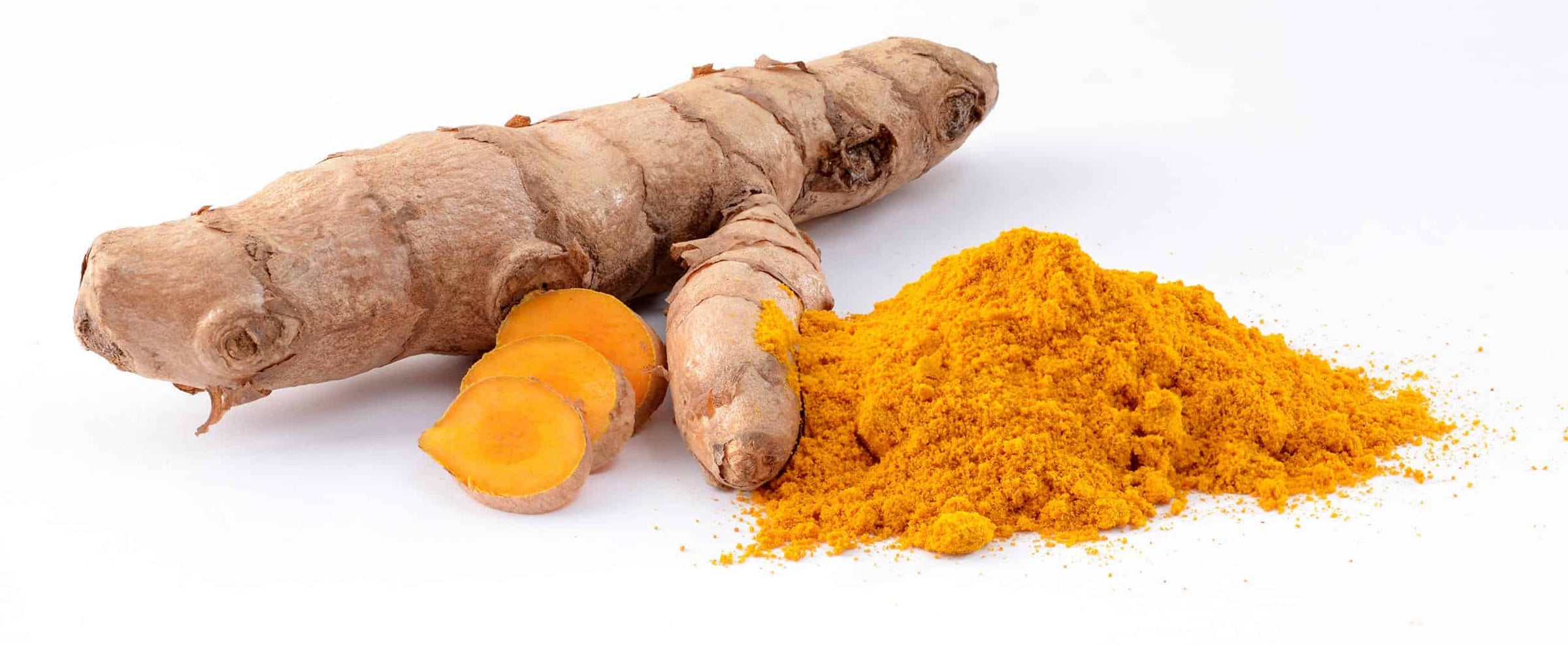 Curcuma longa roots scaled