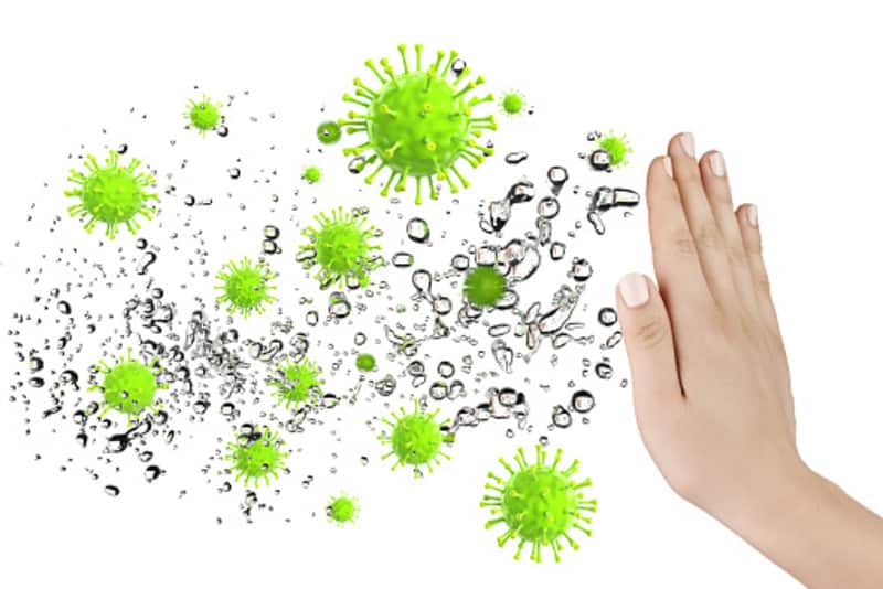 immune system 3 1