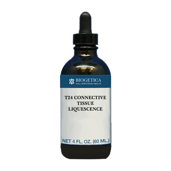 T24 Connective Tissue Liquescence