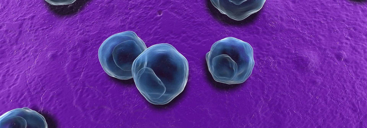 Chlamydia infection