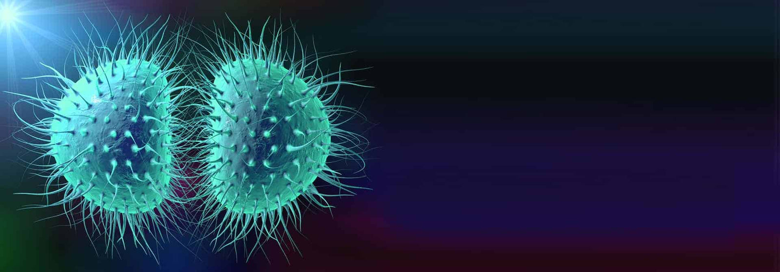 Gonorrhea
