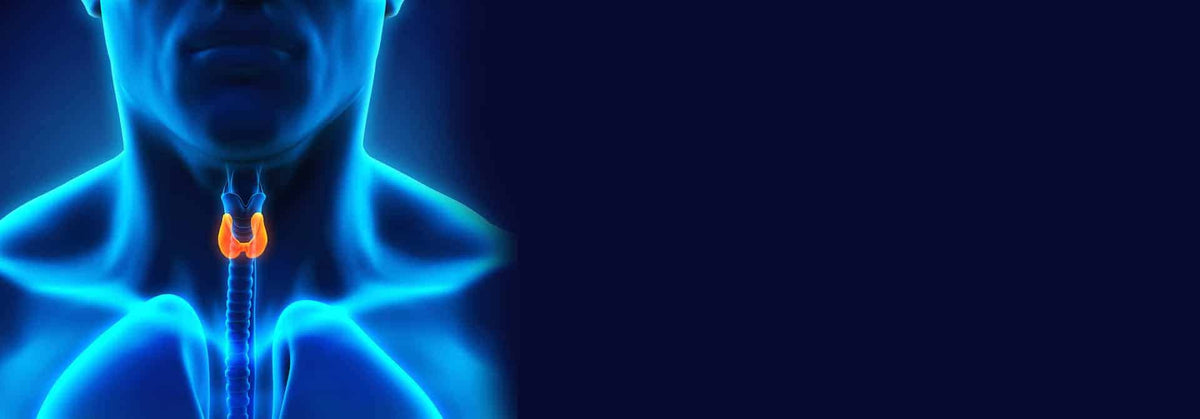 Hyperthyroid