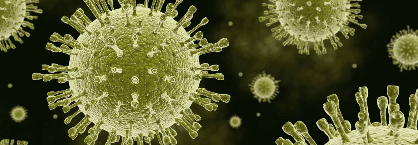 Infectious Mononucleosis