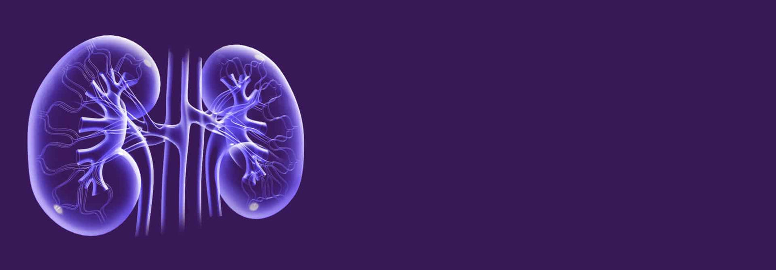 Kidney Disease