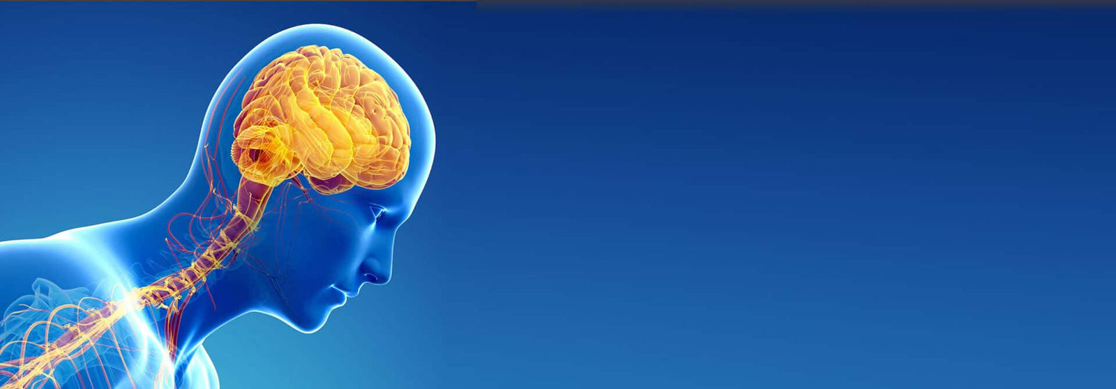 Parkinson's Disease